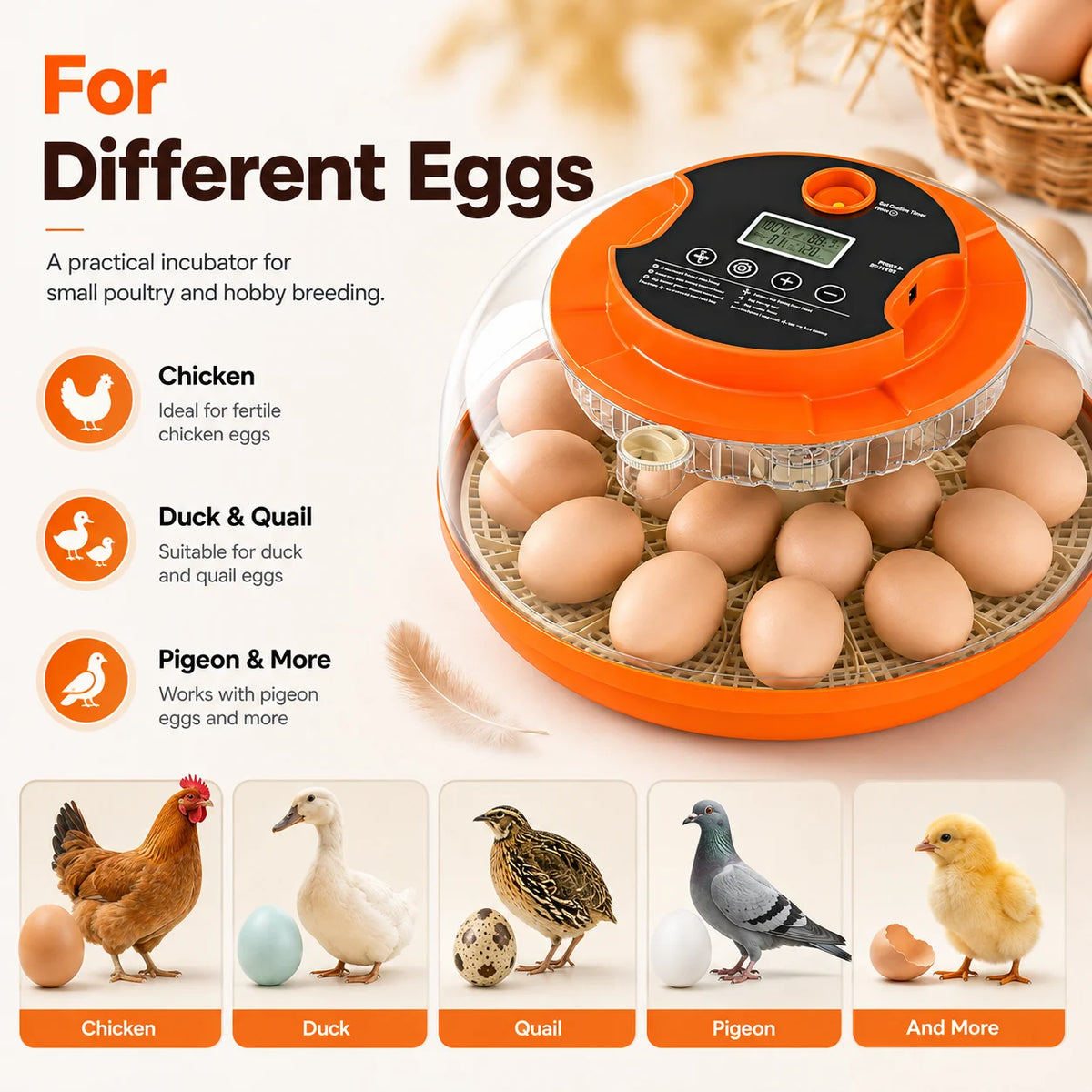 18-Egg Smart Incubator with Auto Turning, Humidity Control and Egg Candler,Smart Digital Temperature Humidity Control, Automatic Egg Turning, Transparent Small Poultry Hatcher, Home Incubator for Chicken Quail Duck Bird Eggs,