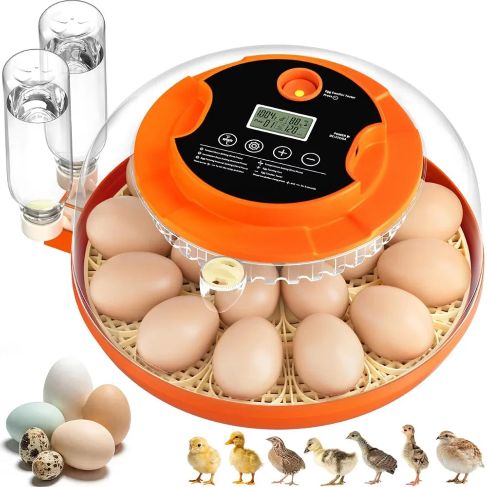 18-Egg Smart Incubator with Auto Turning, Humidity Control and Egg Candler,Smart Digital Temperature Humidity Control, Automatic Egg Turning, Transparent Small Poultry Hatcher, Home Incubator for Chicken Quail Duck Bird Eggs,