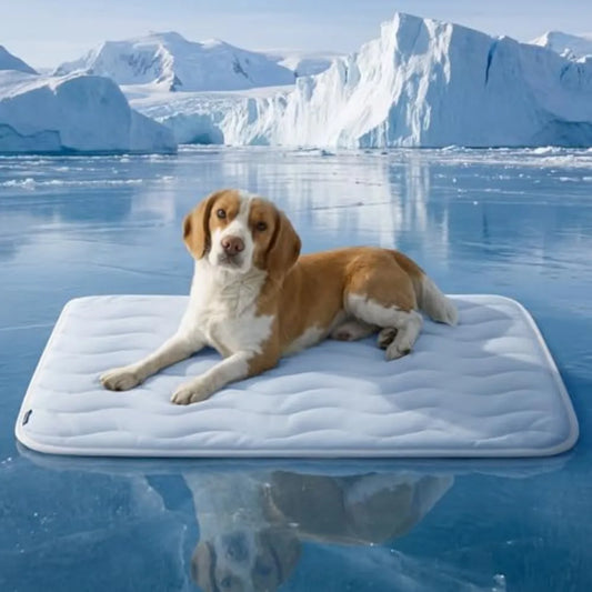 Cooling Dog Mat With Breathable Washable Fabric For Comfort