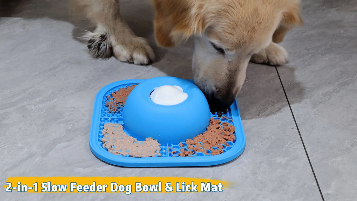 Interactive Slow Feeder Dog Bowl And Lick Mat For Treats