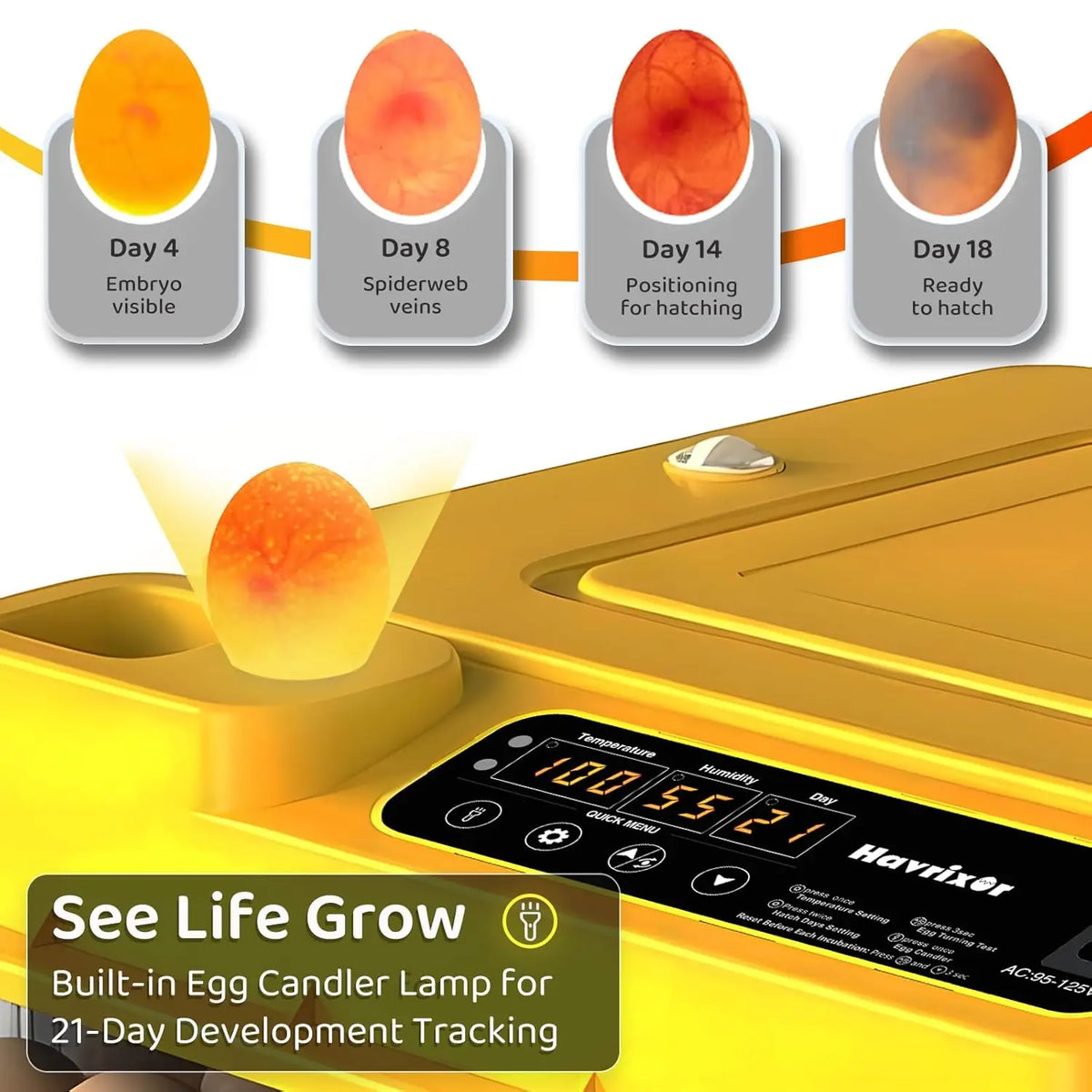 Fully Automatic Egg Incubator With Temperature And Turning For Poultry