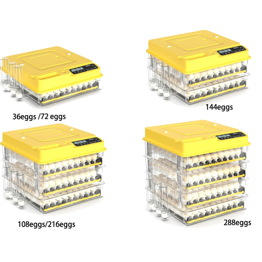 Fully Automatic Egg Incubator With Temperature And Turning For Poultry