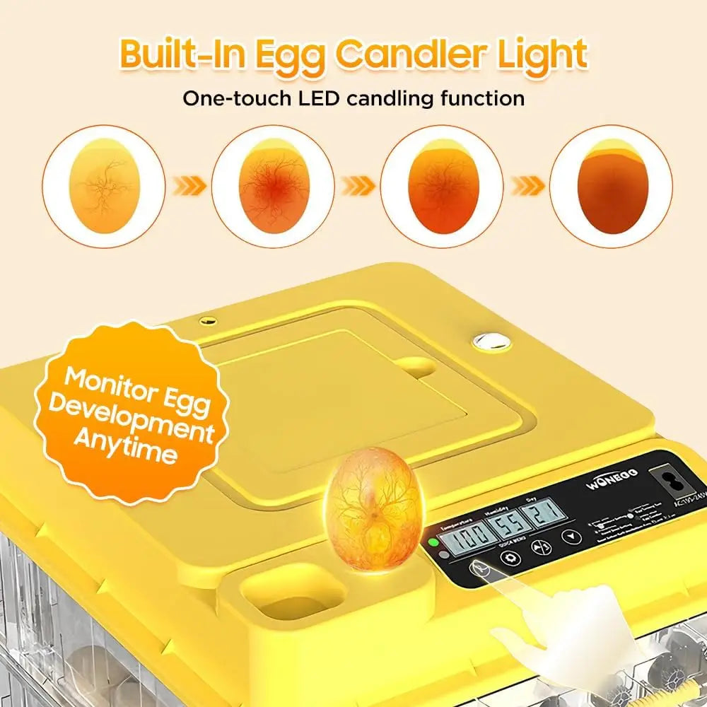 Fully Automatic Egg Incubator With Temperature And Turning For Poultry