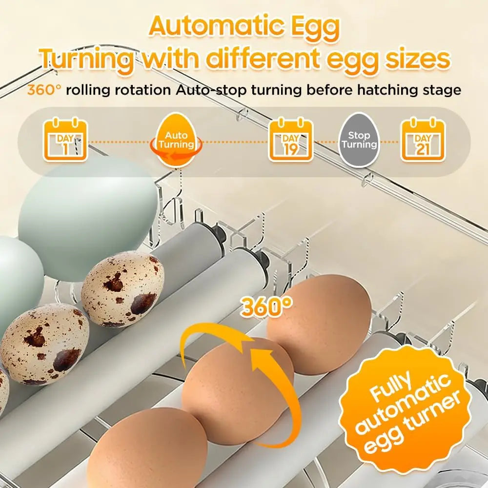 Fully Automatic Egg Incubator With Temperature And Turning For Poultry