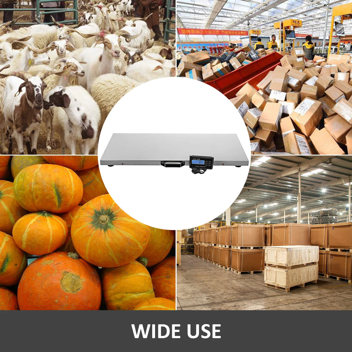 SucceBuy Digital Stainless Steel Livestock Scale For Pet And Shipping