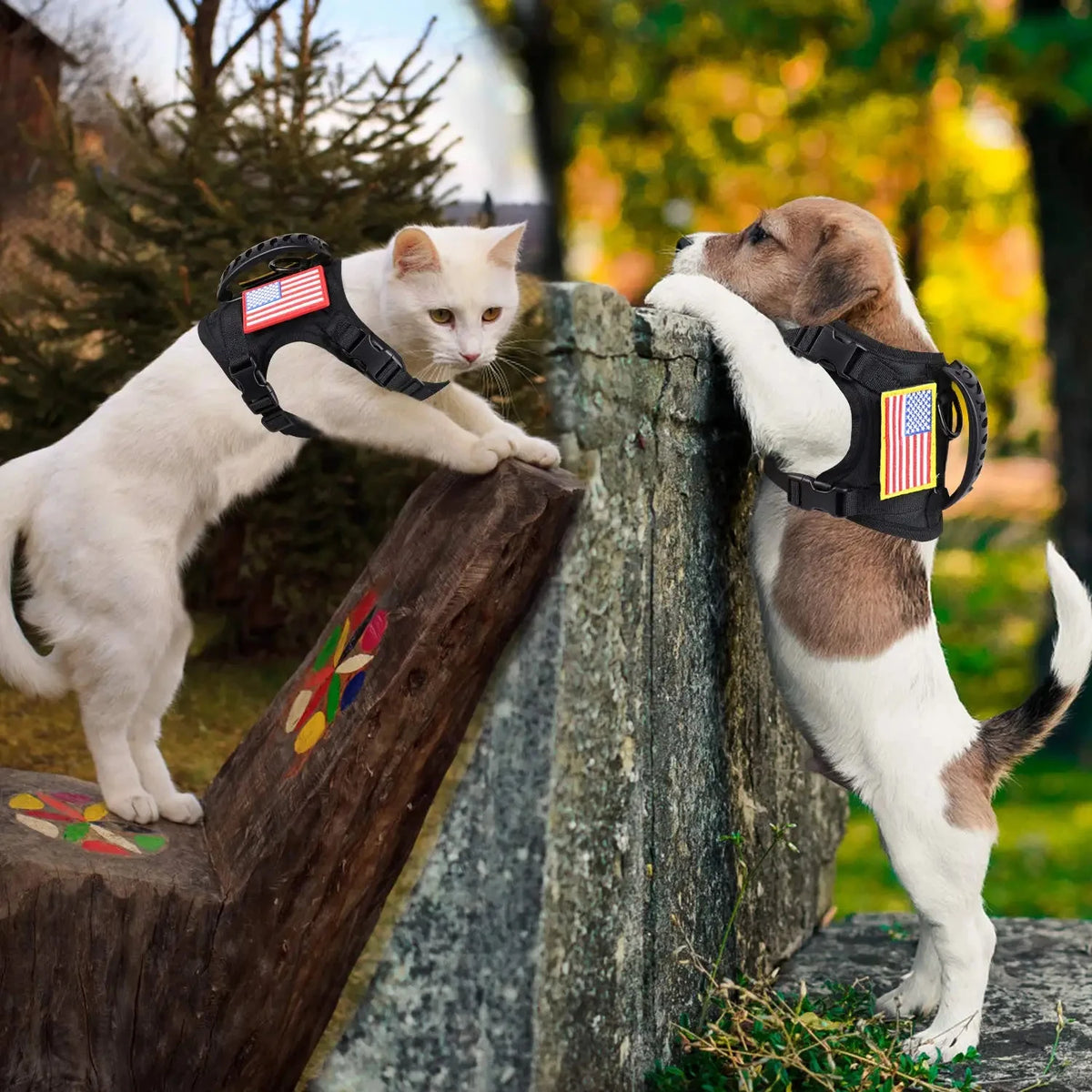 Petravel Tactical Puppy Harness Leash Set For Walking And Training