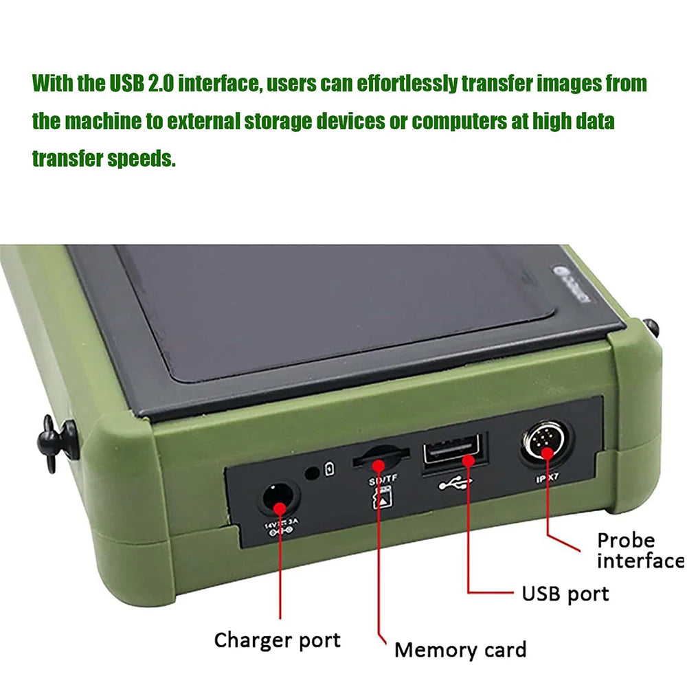 Dawei Veterinary Ultrasound Scanner with 3.5Mhz Convex Probe for Livestock