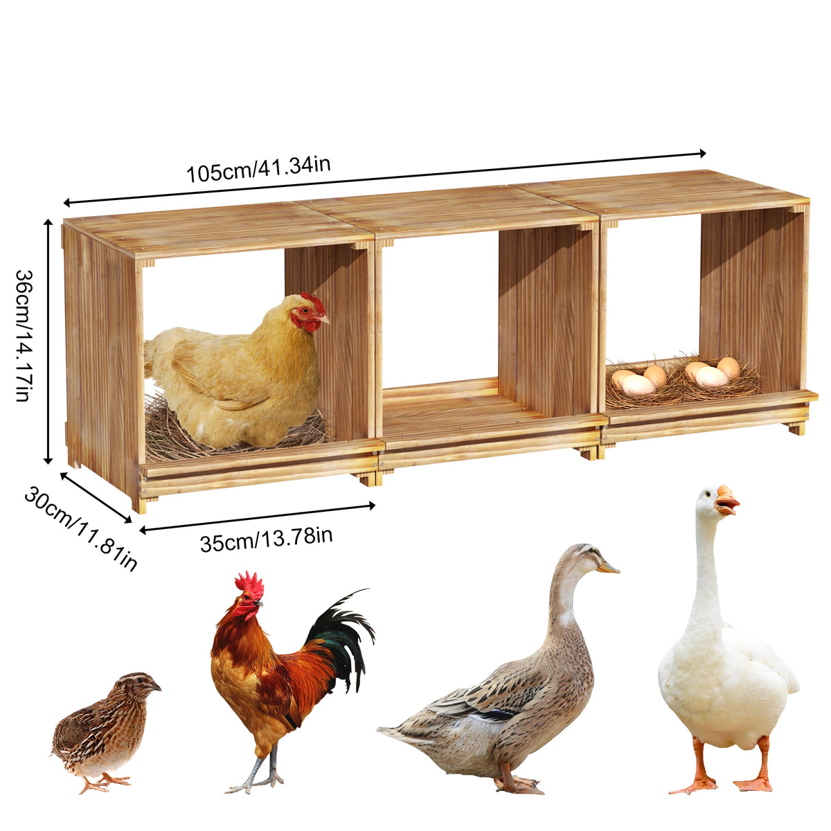 Borwart 3 Compartment Pine Wood Chicken Nesting Box For Poultry