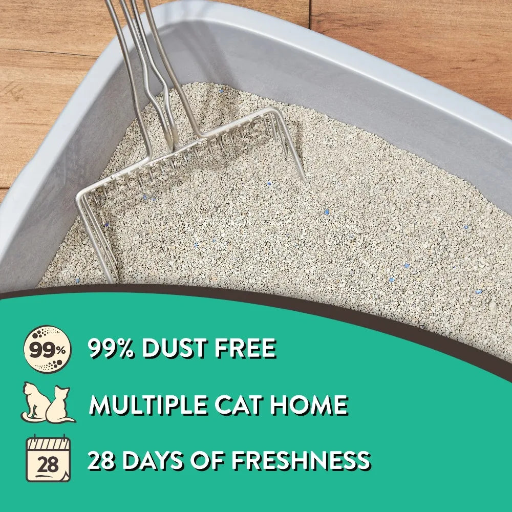 Special Kitty 4-Pack Clumping Clay Cat Litter With Fresh Scent