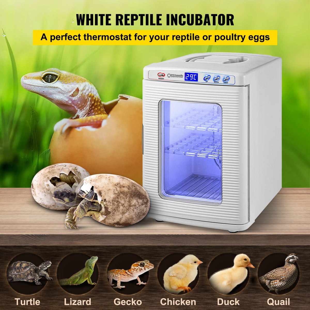 Automatic Reptile Egg Incubator For Scientific Laboratory Hatchery