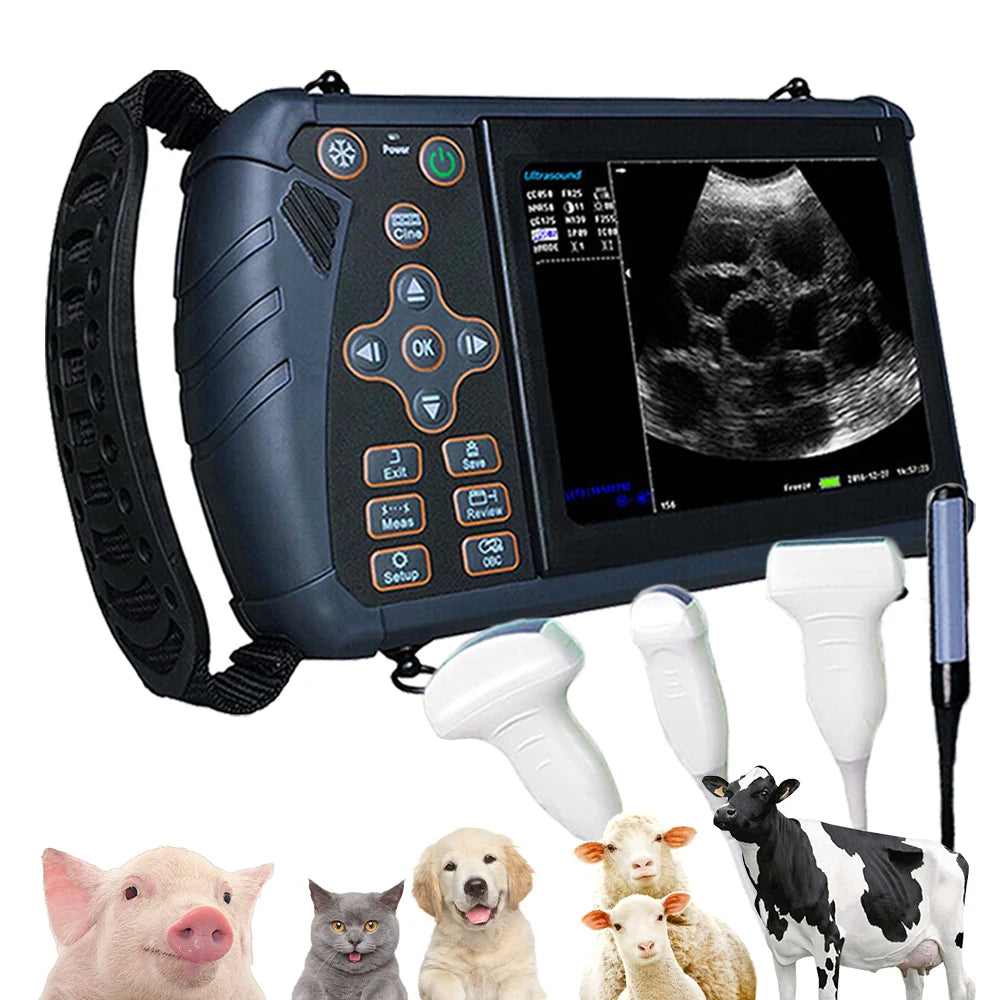 Dawei Portable Veterinary Ultrasound Scanner For Animals