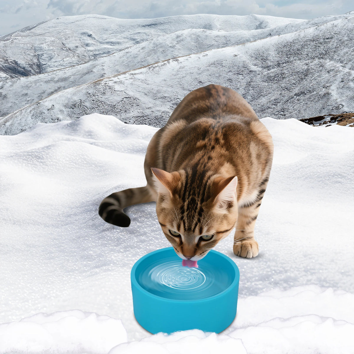 Heated Water Bowl 3.2 L Heated Pet Water Bowl Anti-Freeze Heated Pet Water Dish Provides Drinkable Water in Winter for Dog & Cat
