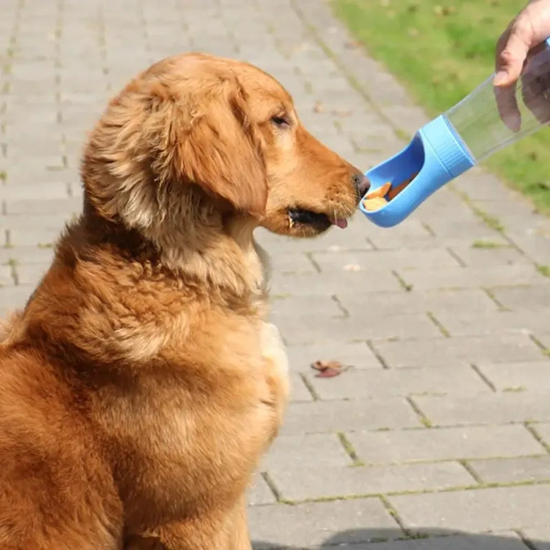 Portable Dog Water Bottle With Food Container For Travel Use