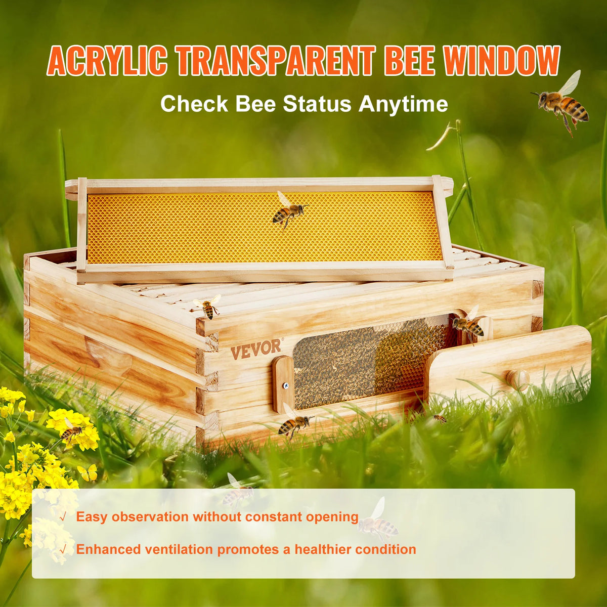 SucceBuy Bee Hive Medium Box Starter Kit  100% Beeswax Coated Natural Cedar Wood  Beehive Kit with 10 Frames and Foundations