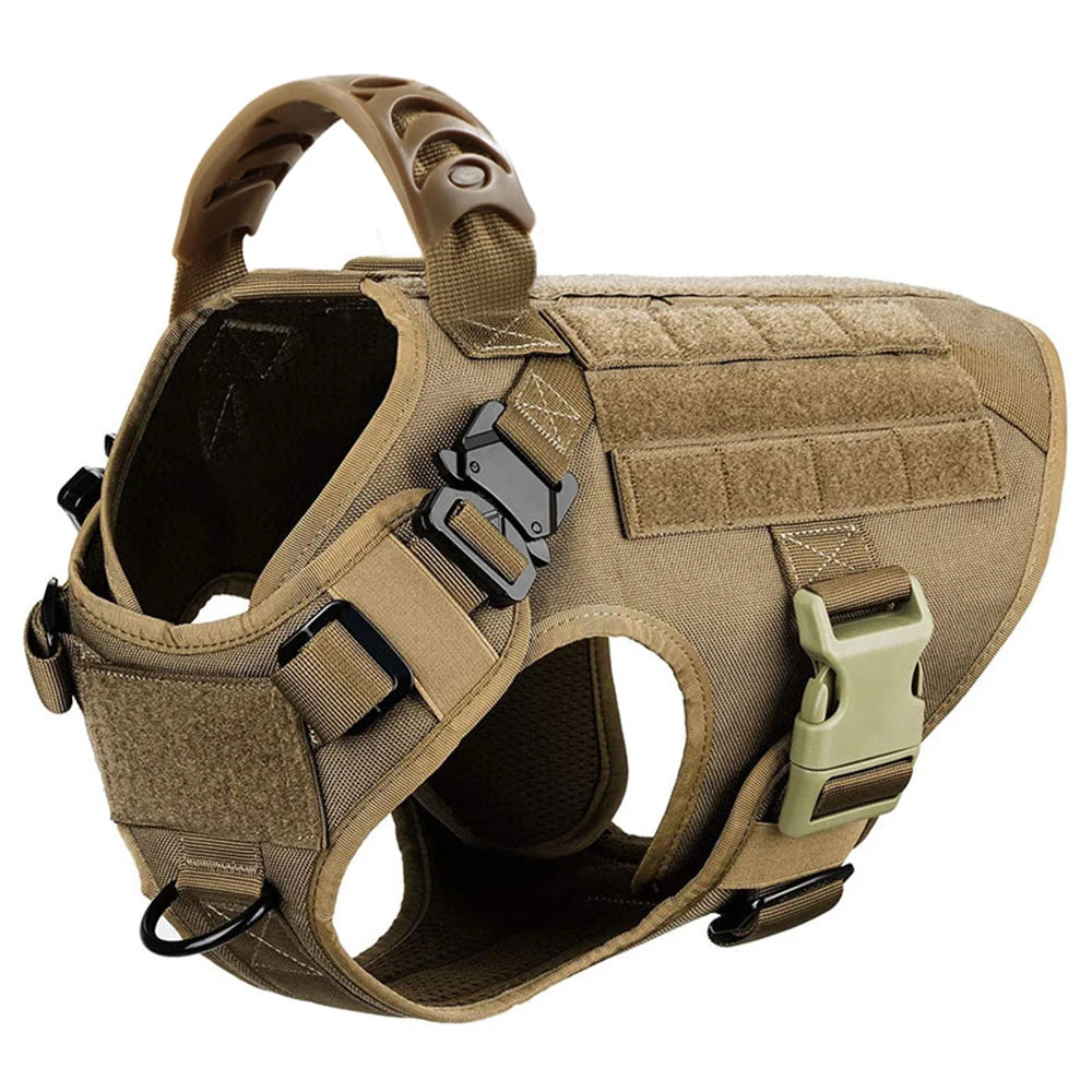 Petravel Padded Nylon Dog Harness And Adjustable Leash Set