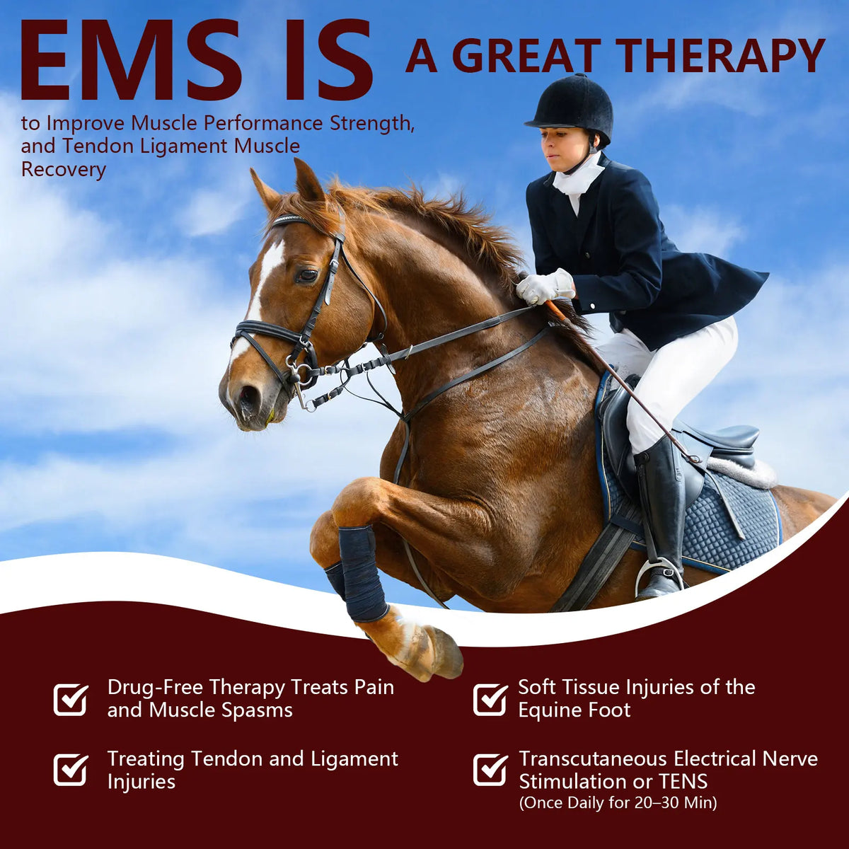 4x808nm Laser Therapy Device for Horse Pets Humans Upgraded 3in1 Red Light Therapy Device Muscle Recovery Joint Pain Relief Skin Health Care Portable Veterinary Equine Dog Care Pain Relief Machine Body Healing Tool