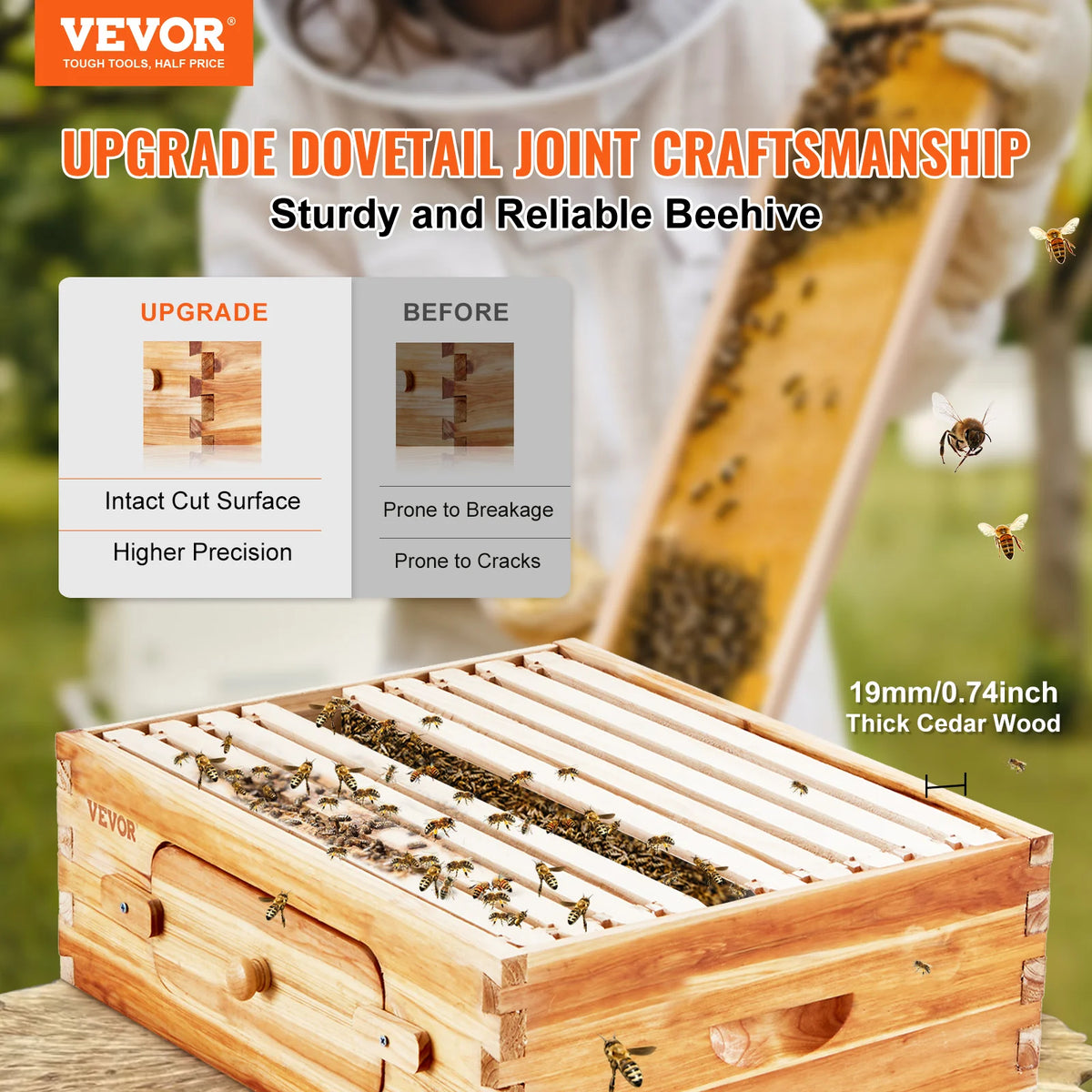 SucceBuy Bee Hive Medium Box Starter Kit  100% Beeswax Coated Natural Cedar Wood  Beehive Kit with 10 Frames and Foundations