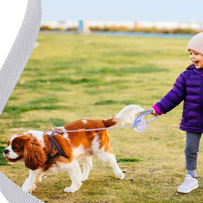 Automatic Extendable Dog Leash For Daily Walking And Exercise