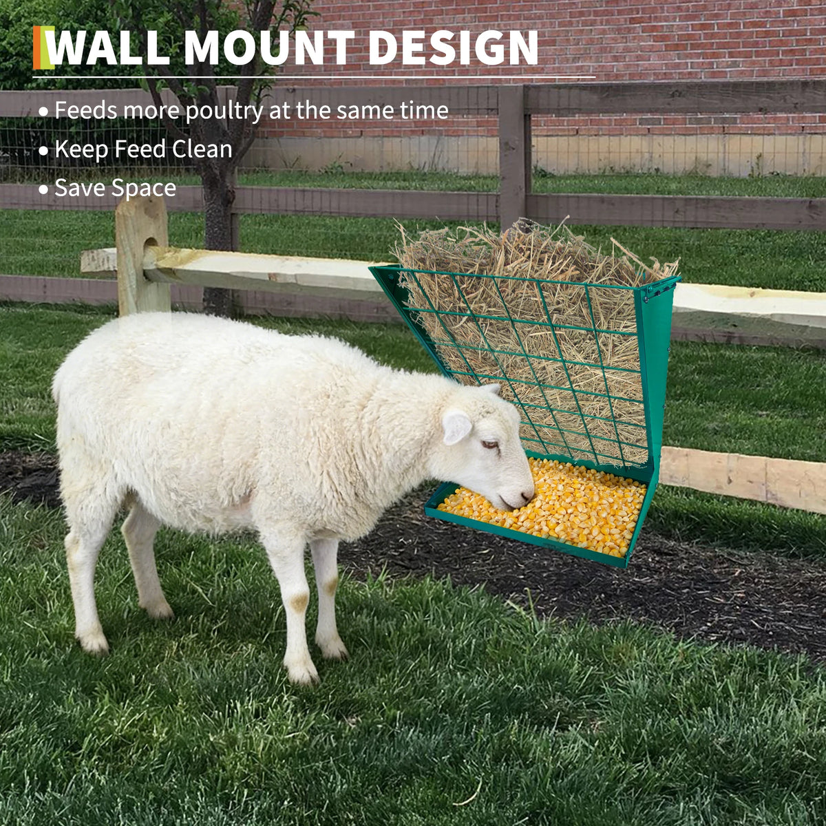 2 In 1 Wall Mounted Livestock Hay And Grain Feeder