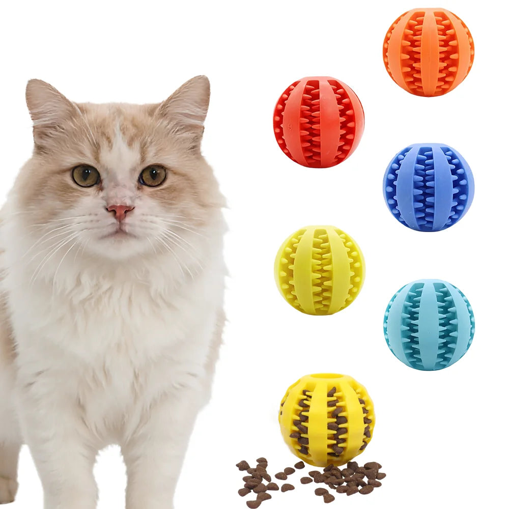 Rubber Teething Ball For Dog Chew Training And Interactive Play