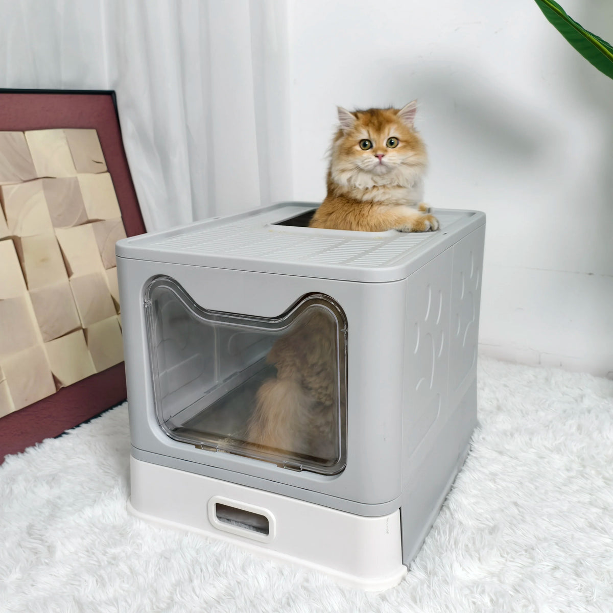 Fully Enclosed Cat Litter Box With Separate Lid And Scoop