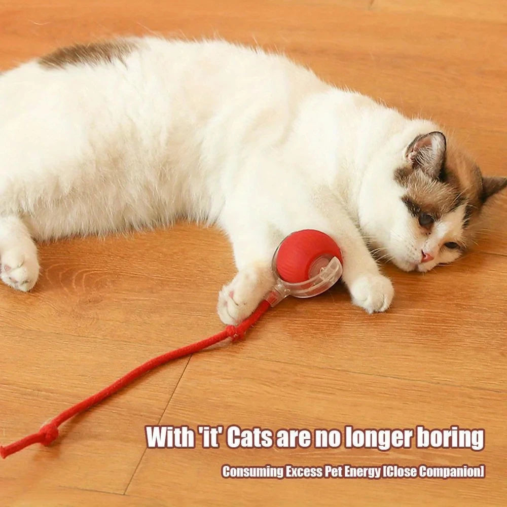 【In Stock】Self Moving Smart Cat Toy Ball 3 Speed Adjustable LED Interactive Play Ball with Durable Rope Tail for Indoor Cats