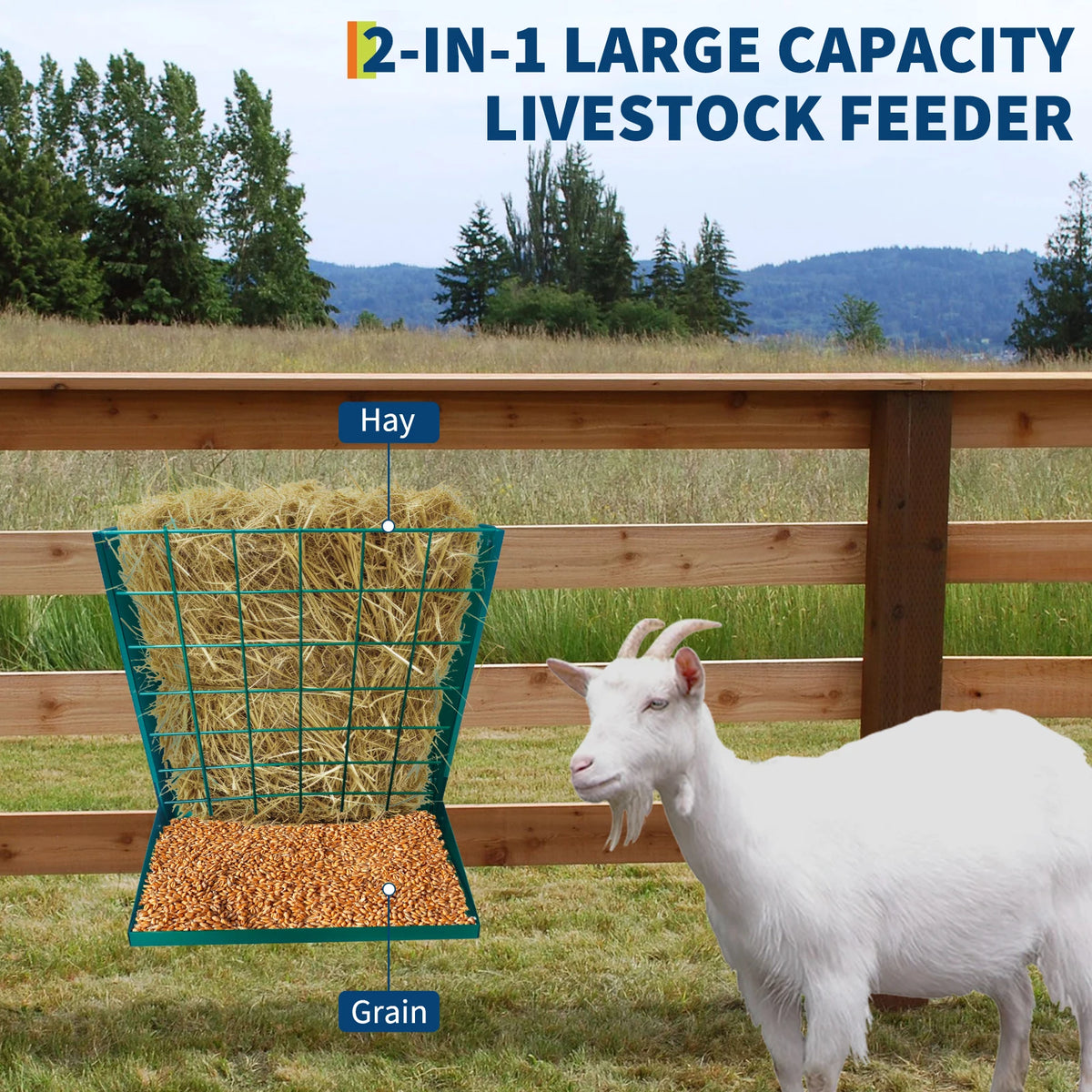 2 In 1 Wall Mounted Livestock Hay And Grain Feeder