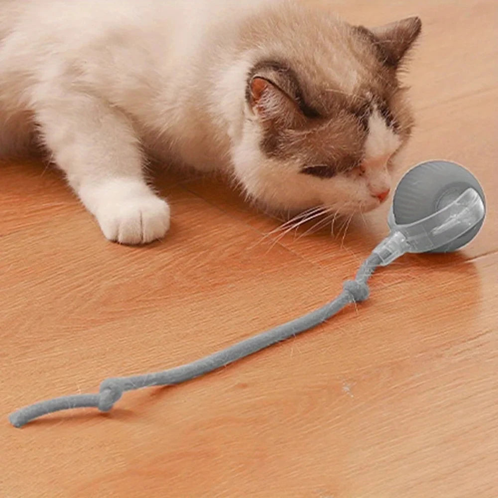 【In Stock】Self Moving Smart Cat Toy Ball 3 Speed Adjustable LED Interactive Play Ball with Durable Rope Tail for Indoor Cats