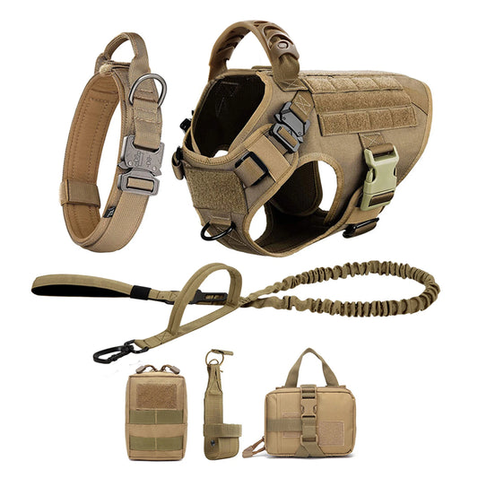Petravel Padded Nylon Dog Harness And Adjustable Leash Set