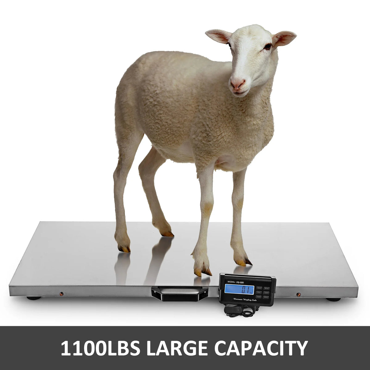 SucceBuy Digital Stainless Steel Livestock Scale For Pet And Shipping