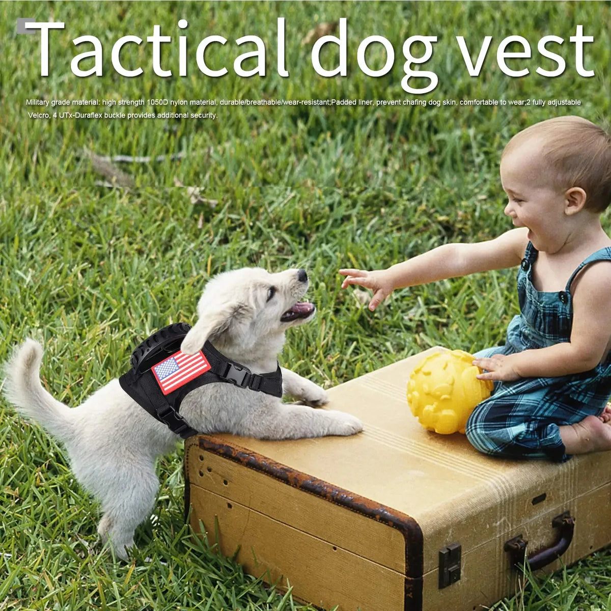 Petravel Tactical Puppy Harness Leash Set For Walking And Training
