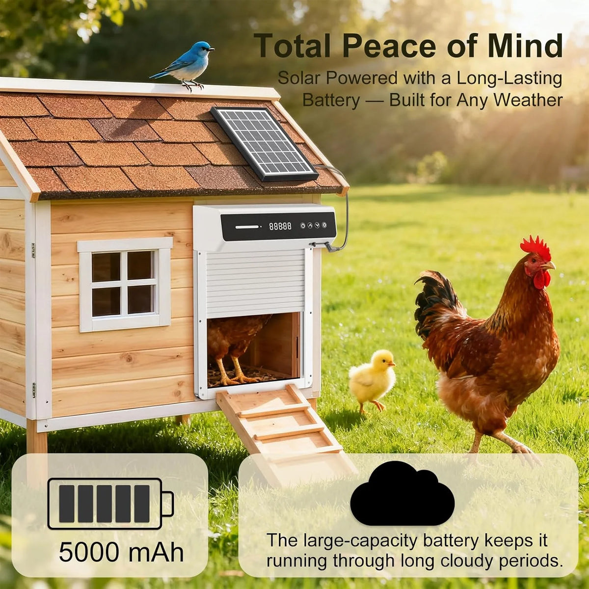 Solar Powered Chicken Coop Door Automatic Rolling Shutter Door with LCD Display Screen, Light Sensing Timed Pet Door，Support USB Charging Auto Open Close Chicken Door for Farm Backyard