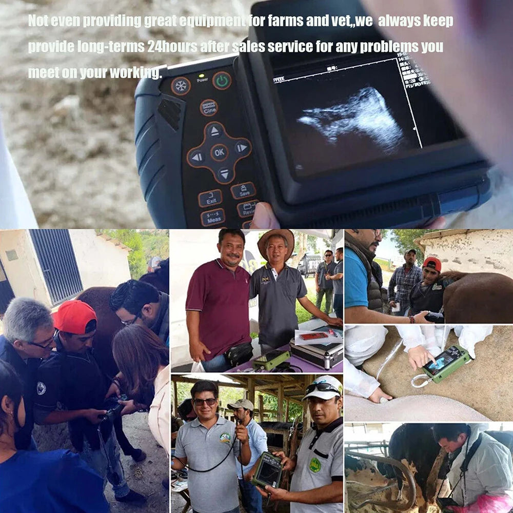 Dawei Veterinary Ultrasound Scanner with 3.5Mhz Convex Probe for Livestock