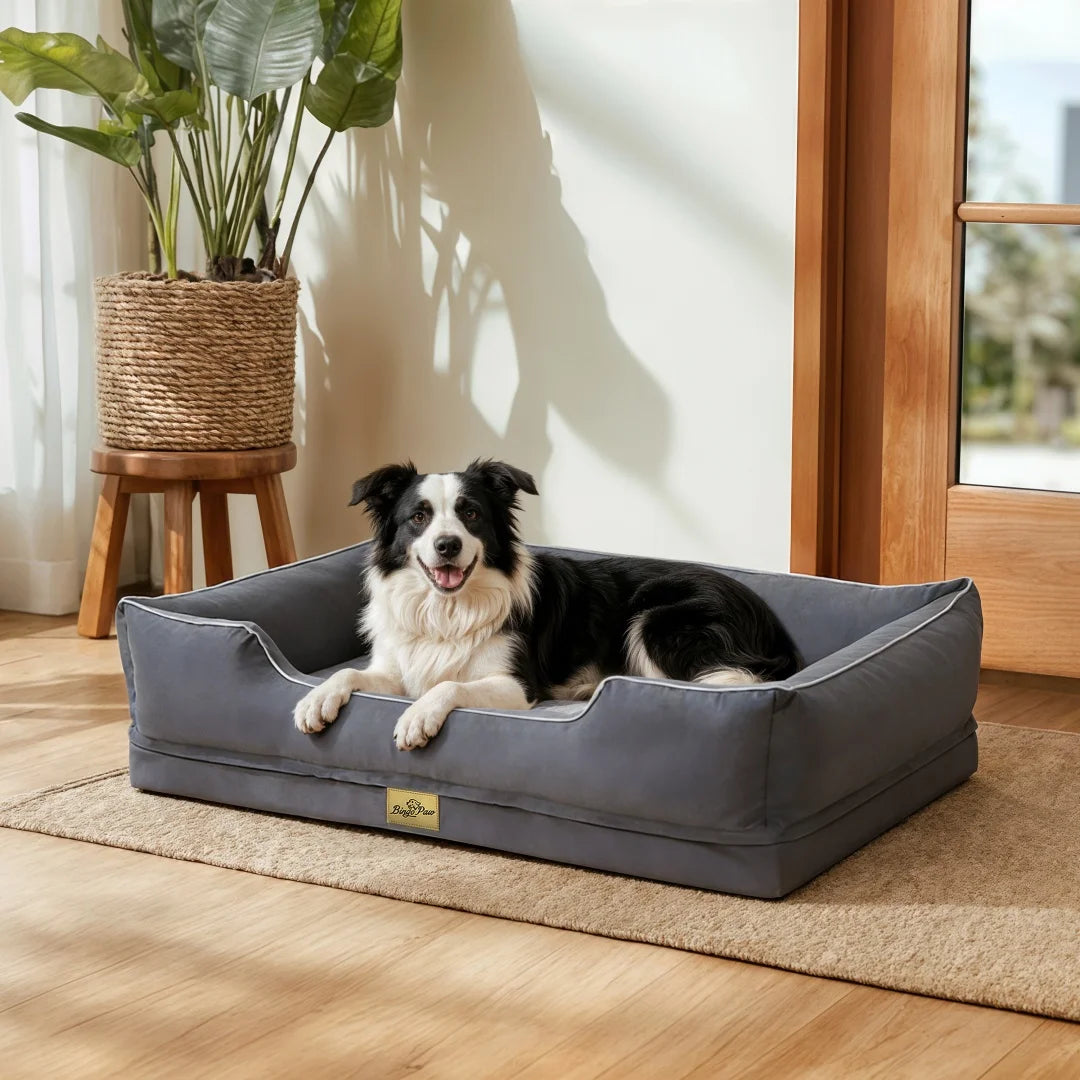 BINGOPAW Rectangular Dog Sofa Bed With Washable Removable Cover