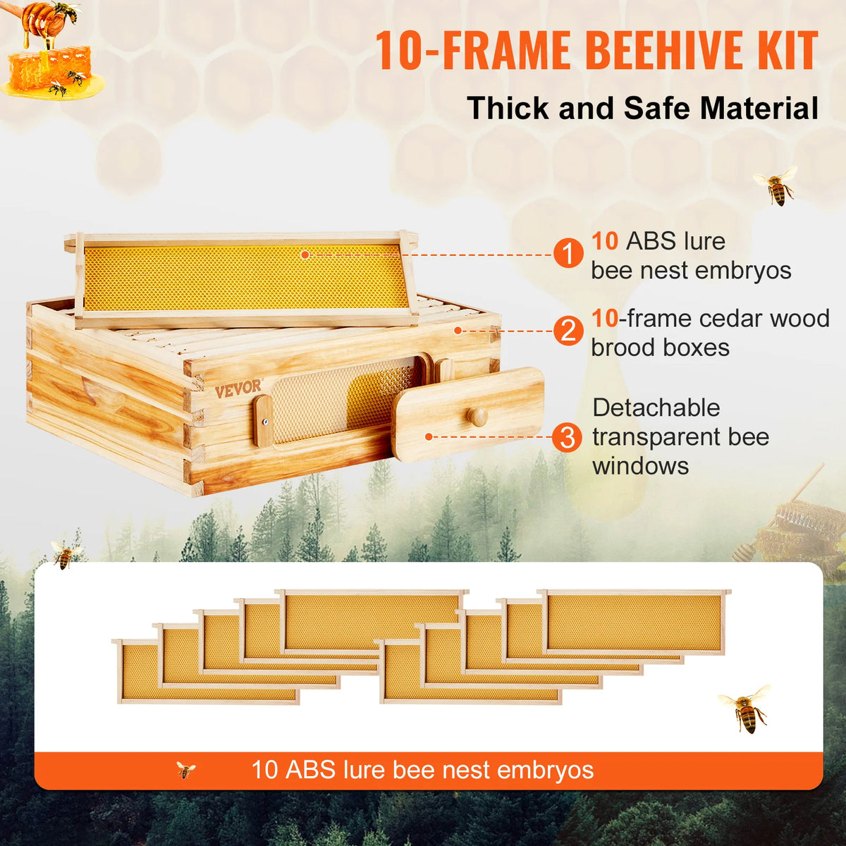 SucceBuy Bee Hive Medium Box Starter Kit  100% Beeswax Coated Natural Cedar Wood  Beehive Kit with 10 Frames and Foundations