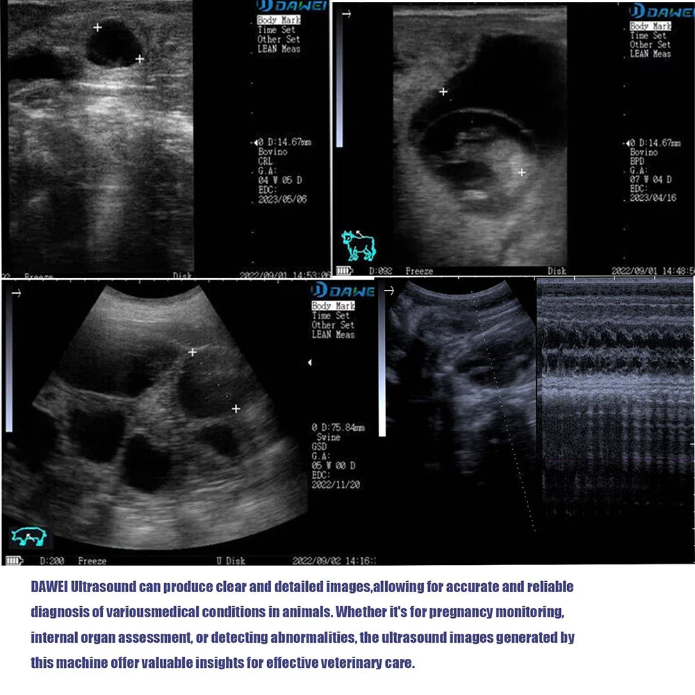 Dawei Portable Veterinary Ultrasound Scanner For Animals