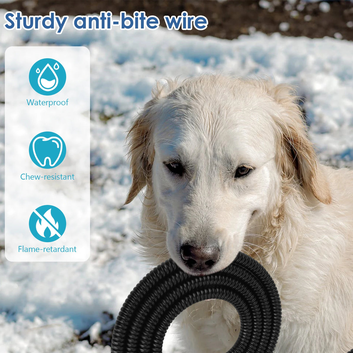 Heated Water Bowl 3.2 L/108 Oz Outdoor Heated Dog Dish Anti-Freeze Heated Pet Water Dish in Winter for Dog Cat Chicken Duck