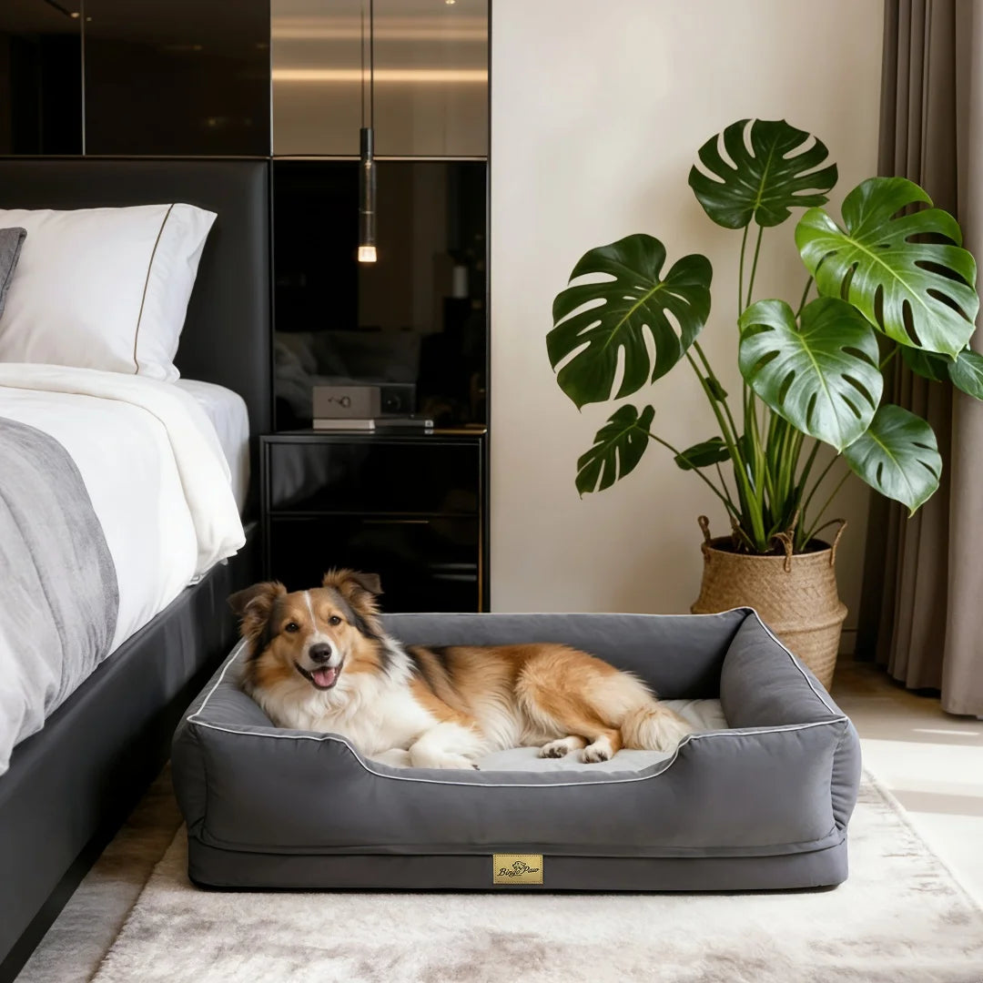 BINGOPAW Rectangular Dog Sofa Bed With Washable Removable Cover