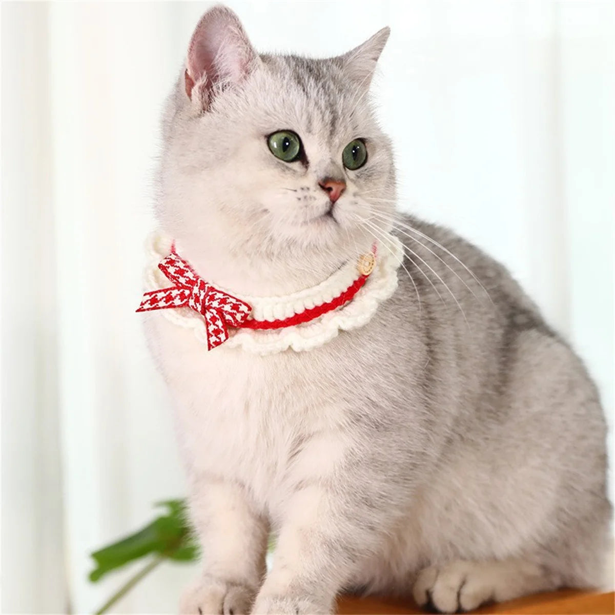 Hand Knitted Pet Collar With Decorative Bow Knot Drool Catcher