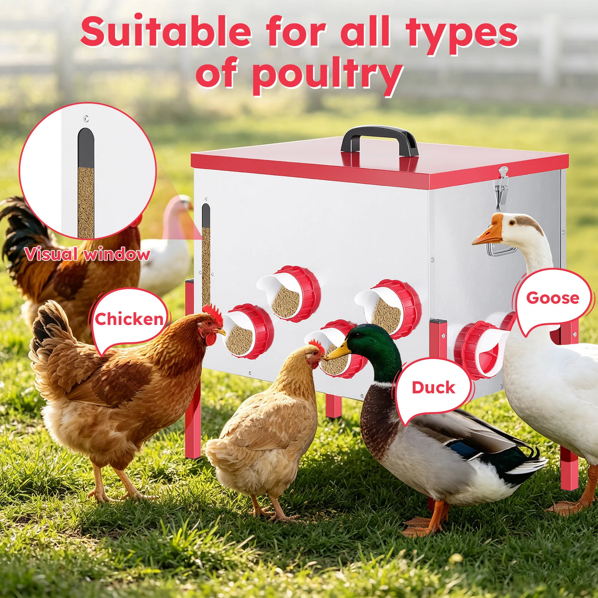 1* 130 lb Extra-Large Galvanized Chicken Feeder with 12 No-Waste Ports Durable