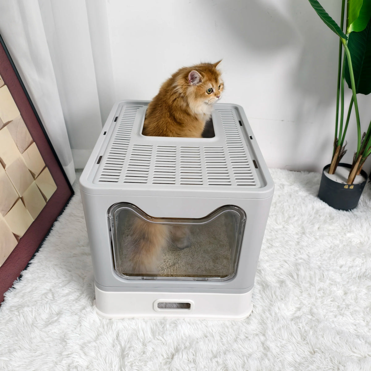 Fully Enclosed Cat Litter Box With Separate Lid And Scoop