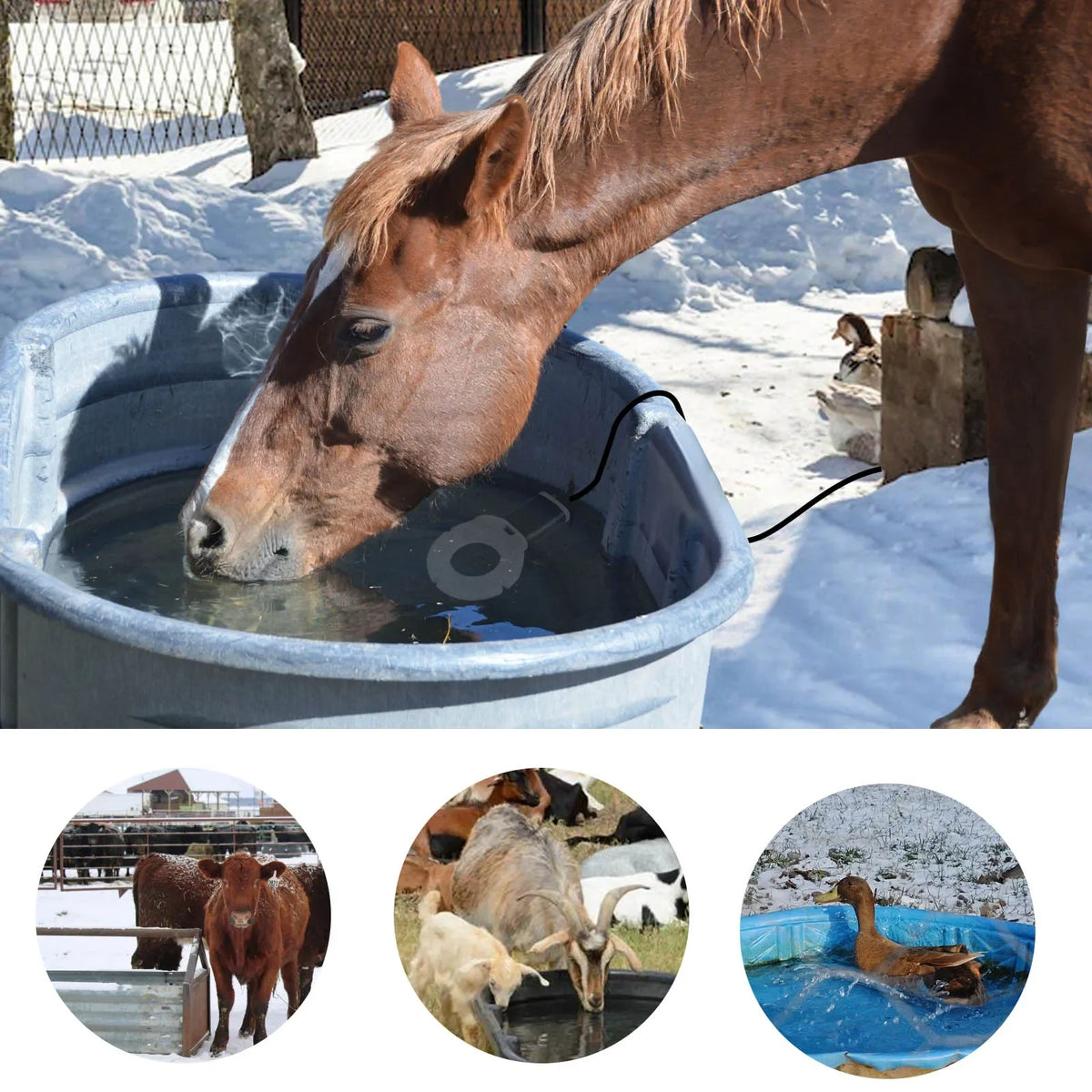Submersible Thermostatic Bird Bath Heater And Water De-Icer
