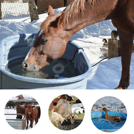 Submersible Thermostatic Bird Bath Heater And Water De-Icer