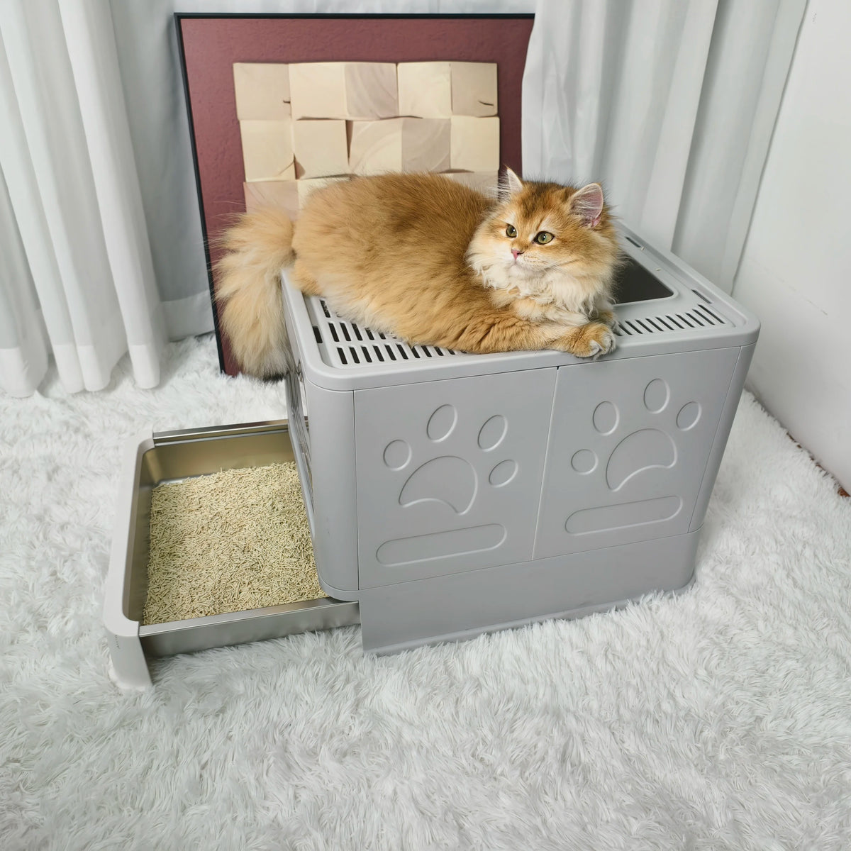 Fully Enclosed Cat Litter Box With Separate Lid And Scoop