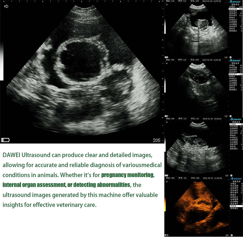 Dawei Veterinary Ultrasound Scanner with 3.5Mhz Convex Probe for Livestock