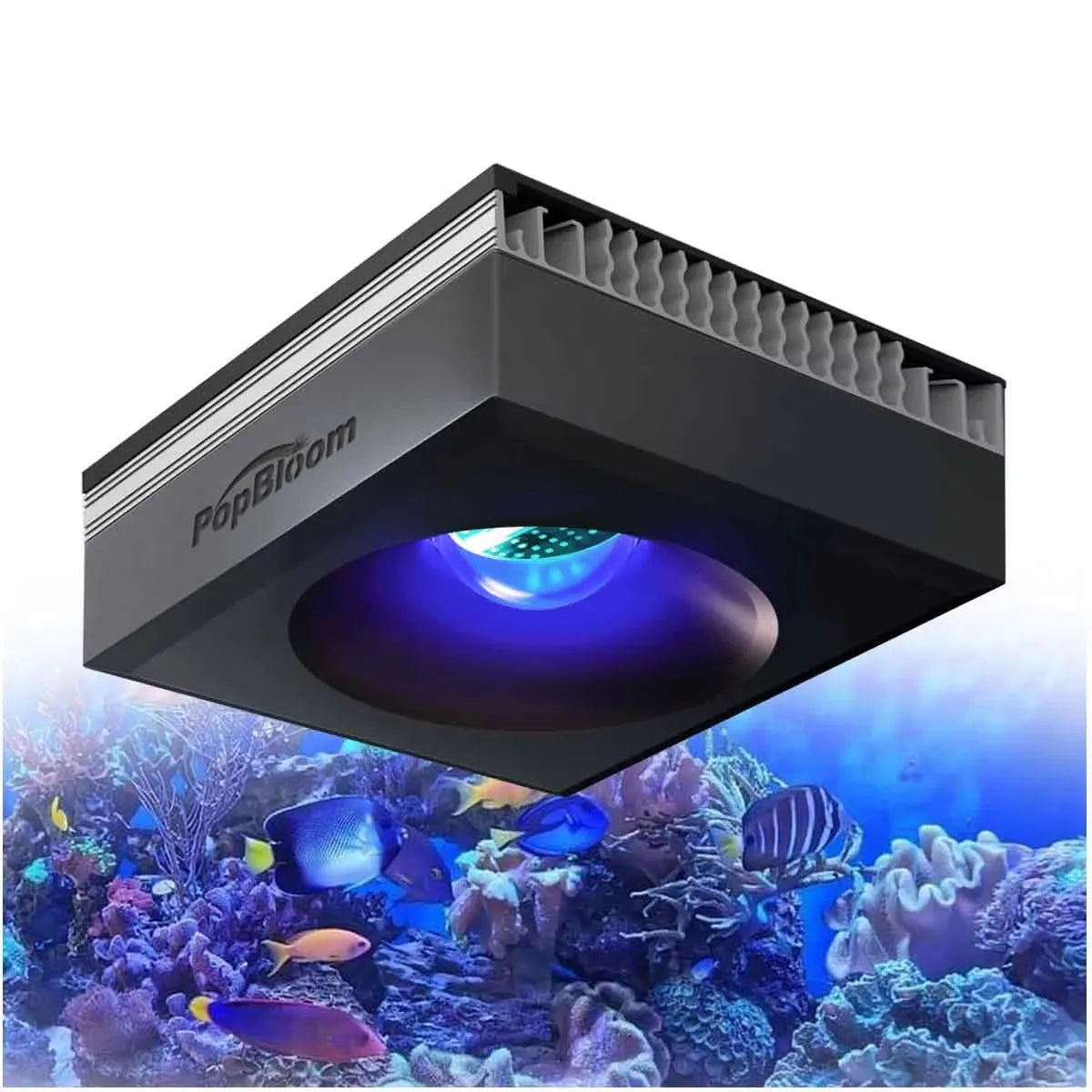 PopBloom RL90 WiFi LED Reef Aquarium Light For Coral Growth