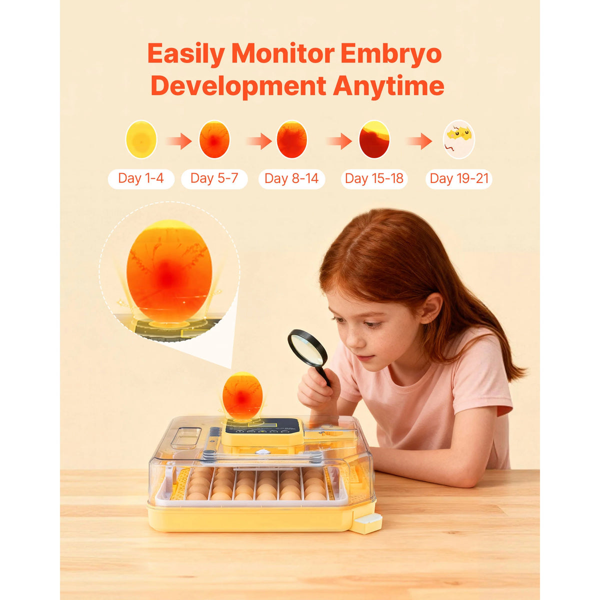 SucceBuy Egg Incubator with LED Candler Temperature Display Auto Humidity Control 360° View Clear Window Poultry Eggs Incubator