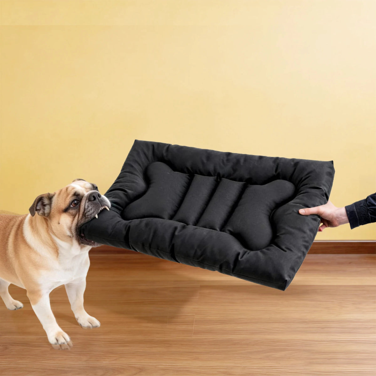 Indestructible Waterproof Chew Proof Dog Bed For Large Dogs