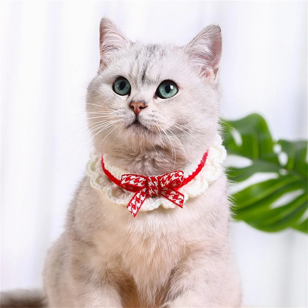 Hand Knitted Pet Collar With Decorative Bow Knot Drool Catcher