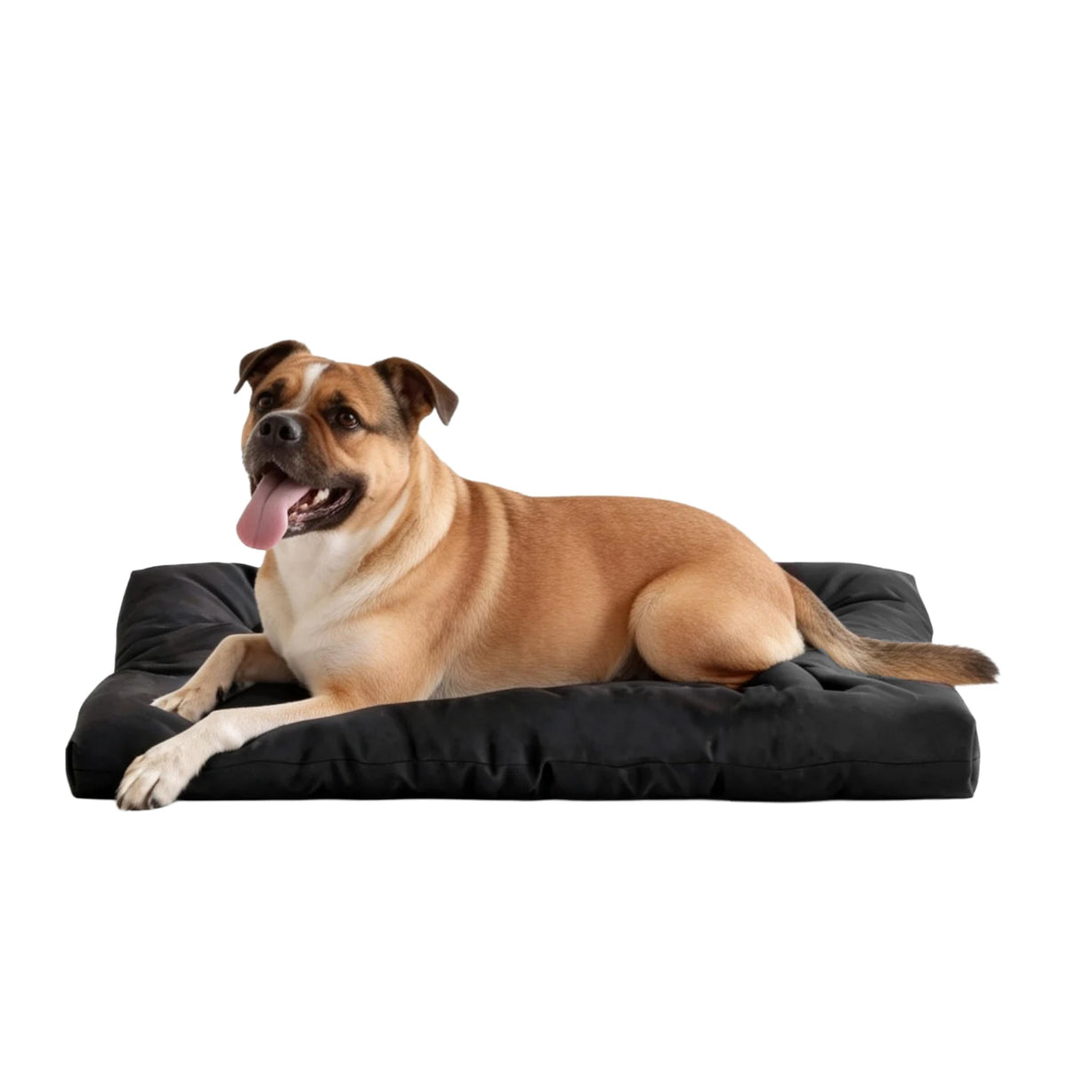 Indestructible Waterproof Chew Proof Dog Bed For Large Dogs